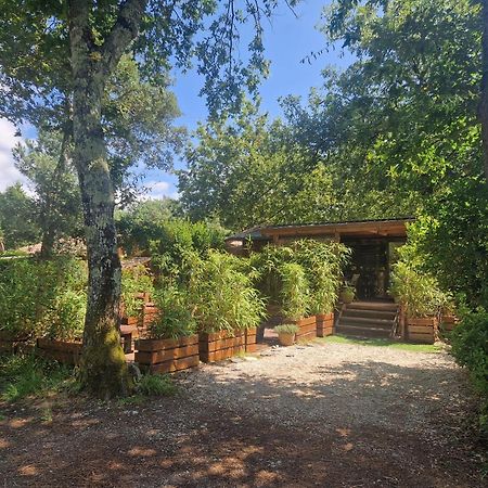Chalet 2020 Camping 4 Etoiles Bassin D'Arcachon La Teste المظهر الخارجي الصورة